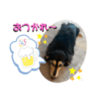 まるこ18（個別スタンプ：8）