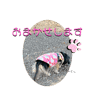 まるこ18（個別スタンプ：11）
