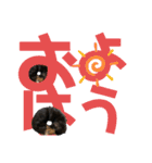 まるこ18（個別スタンプ：21）