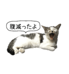 ボンネットからやってきた猫リジー（個別スタンプ：18）