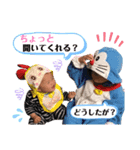 土佐弁チャイルドvol.8（個別スタンプ：5）