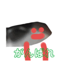 ハグ大④（個別スタンプ：10）