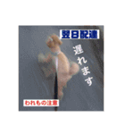 息がくさいイヌ(実写版)（個別スタンプ：12）