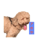 息がくさいイヌ(実写版)（個別スタンプ：15）