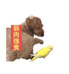 息がくさいイヌ(実写版)（個別スタンプ：22）