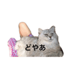 チェリー軍団（個別スタンプ：2）