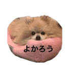 チェリー軍団（個別スタンプ：8）