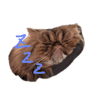 チェリー軍団（個別スタンプ：11）