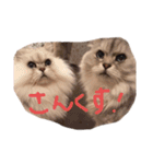 チェリー軍団（個別スタンプ：16）