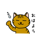 キジトラまおさん（個別スタンプ：1）