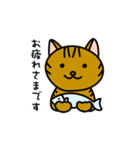 キジトラまおさん（個別スタンプ：3）