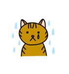 キジトラまおさん（個別スタンプ：4）