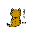 キジトラまおさん（個別スタンプ：5）