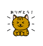 キジトラまおさん（個別スタンプ：7）