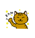 キジトラまおさん（個別スタンプ：8）