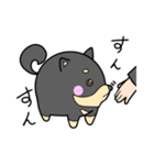 まる柴の日常（個別スタンプ：1）