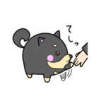 まる柴の日常（個別スタンプ：2）