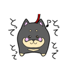 まる柴の日常（個別スタンプ：10）
