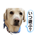ロイたん1（個別スタンプ：8）