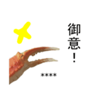 【カスタム】カニ食べ放題（実写）（個別スタンプ：6）