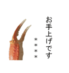 【カスタム】カニ食べ放題（実写）（個別スタンプ：19）