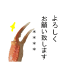 【カスタム】カニ食べ放題（実写）（個別スタンプ：25）