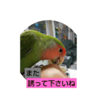 kawafamily16（個別スタンプ：1）