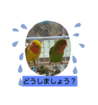 kawafamily16（個別スタンプ：2）