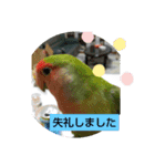 kawafamily16（個別スタンプ：4）