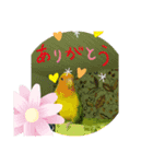 kawafamily16（個別スタンプ：6）