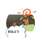 kawafamily16（個別スタンプ：7）