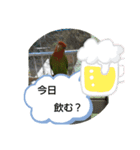 kawafamily16（個別スタンプ：8）