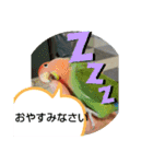 kawafamily16（個別スタンプ：9）