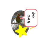 kawafamily16（個別スタンプ：10）