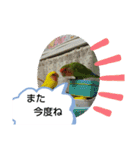 kawafamily16（個別スタンプ：12）