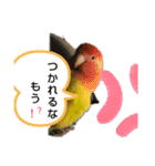 kawafamily16（個別スタンプ：14）
