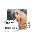 kawafamily16（個別スタンプ：15）