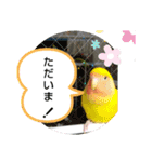 kawafamily16（個別スタンプ：16）