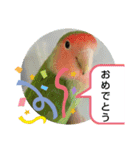 kawafamily16（個別スタンプ：17）