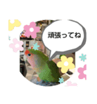 kawafamily16（個別スタンプ：18）