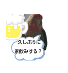 kawafamily16（個別スタンプ：20）