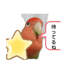 kawafamily16（個別スタンプ：21）
