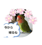 kawafamily16（個別スタンプ：22）