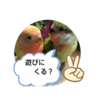 kawafamily16（個別スタンプ：23）