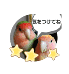 kawafamily16（個別スタンプ：24）