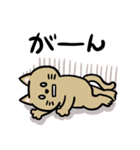 ぶたとねこの仲良しスタンプ（個別スタンプ：15）