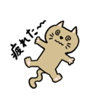 ぶたとねこの仲良しスタンプ（個別スタンプ：16）