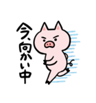 ぶたとねこの仲良しスタンプ（個別スタンプ：20）