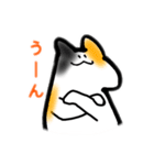 うちのネッコ（日常編）（個別スタンプ：8）