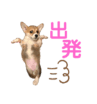もことクウ2（個別スタンプ：4）